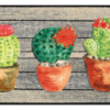 csm-Jardin-de-Cactus-50x75cm-02-4032445087168-DRAUFSICHT-2188be7237